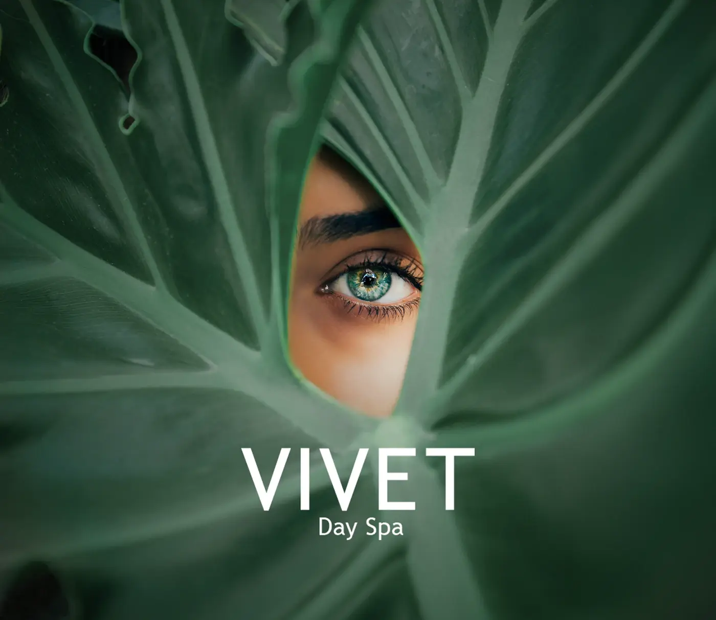 Sitio web de VIVET Day Spa en Ciudad Satélite